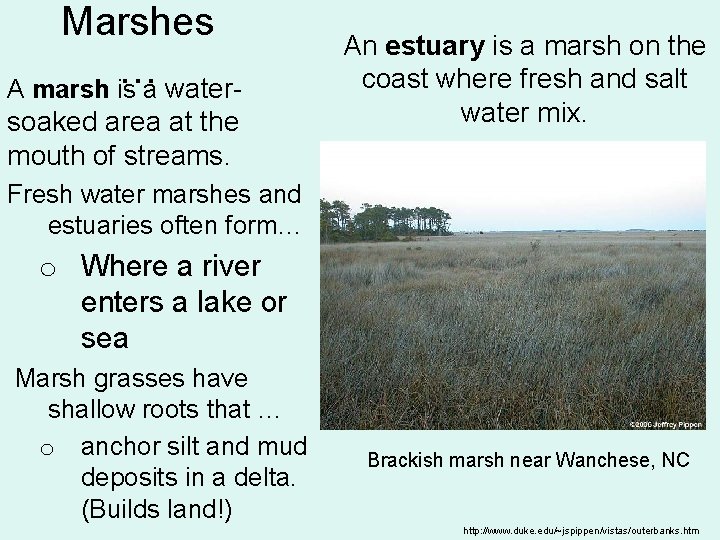 Marshes … A marsh is a watersoaked area at the mouth of streams. An