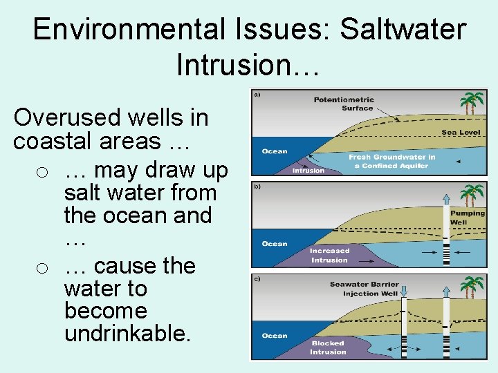 Environmental Issues: Saltwater Intrusion… Overused wells in coastal areas … o … may draw