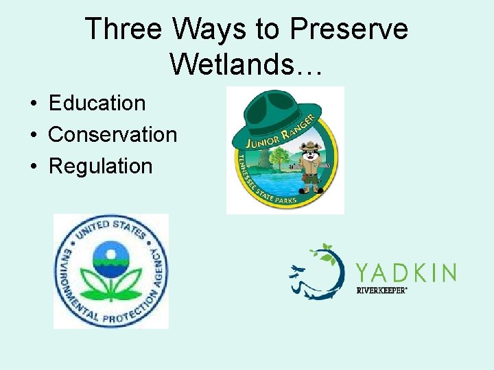Three Ways to Preserve Wetlands… • Education • Conservation • Regulation 