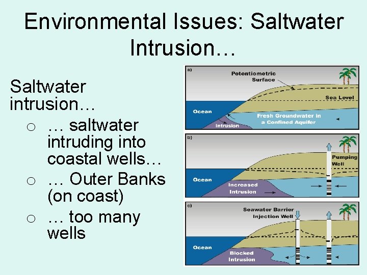 Environmental Issues: Saltwater Intrusion… Saltwater intrusion… o … saltwater intruding into coastal wells… o