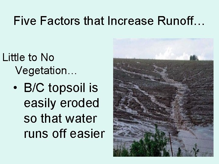 Five Factors that Increase Runoff… Little to No Vegetation… • B/C topsoil is easily