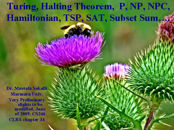 Turing, Halting Theorem, P, NPC, Hamiltonian, TSP, SAT, Subset Sum…. Dr. Mustafa Sakalli Marmara