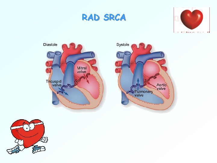 RAD SRCA 