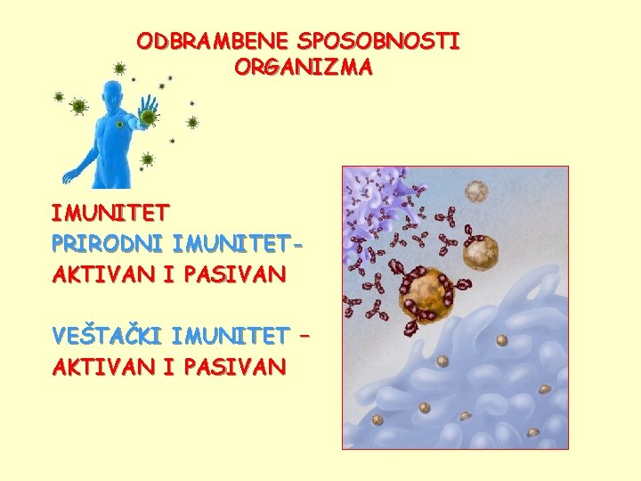 ODBRAMBENE SPOSOBNOSTI ORGANIZMA IMUNITET PRIRODNI IMUNITETAKTIVAN I PASIVAN VEŠTAČKI IMUNITET – AKTIVAN I PASIVAN