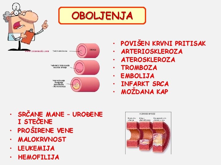 OBOLJENJA • • SRČANE MANE – UROĐENE I STEČENE • PROŠIRENE VENE • MALOKRVNOST