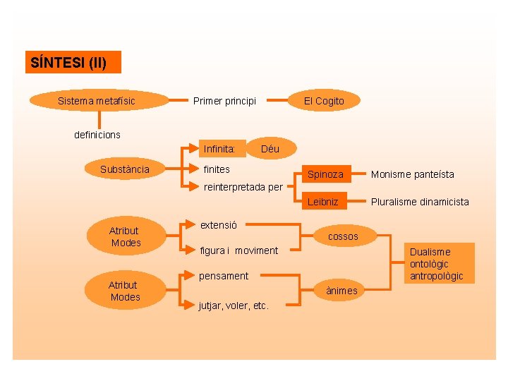 SÍNTESI (II) Sistema metafísic Primer principi El Cogito definicions Infinita: Substància Déu finites Spinoza