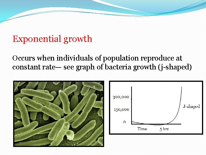 Exponential growth Occurs when individuals of population reproduce at constant rate— see graph of