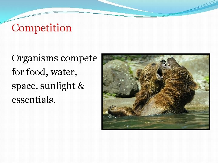Competition Organisms compete for food, water, space, sunlight & essentials. 