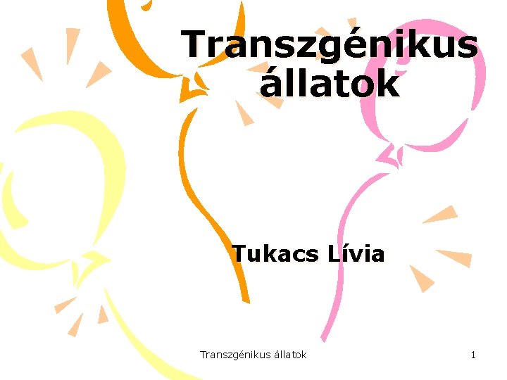 Transzgénikus állatok Tukacs Lívia Transzgénikus állatok 1 