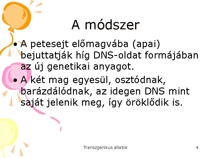 A módszer • A petesejt előmagvába (apai) bejuttatják híg DNS-oldat formájában az új genetikai