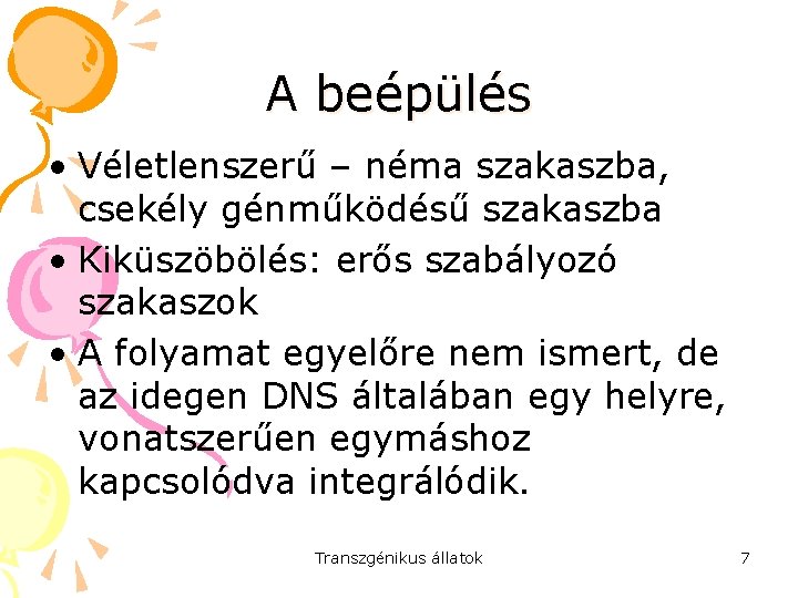 A beépülés • Véletlenszerű – néma szakaszba, csekély génműködésű szakaszba • Kiküszöbölés: erős szabályozó