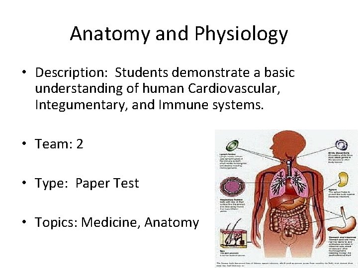 Anatomy and Physiology • Description: Students demonstrate a basic understanding of human Cardiovascular, Integumentary,
