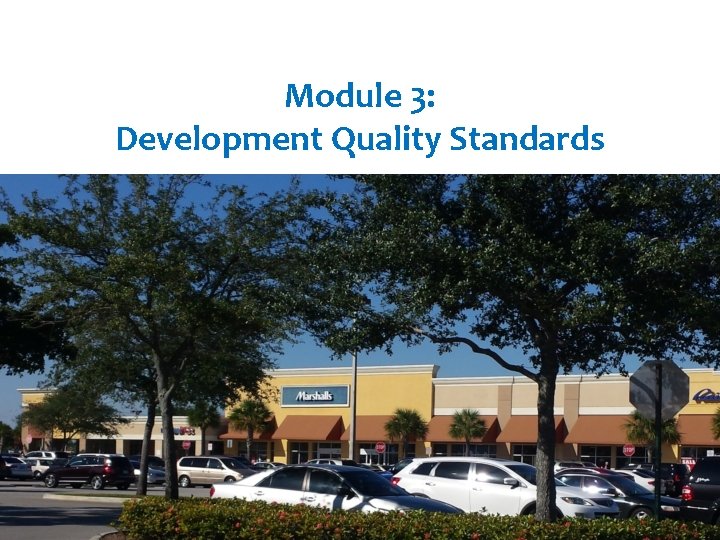 Module 3: Development Quality Standards 