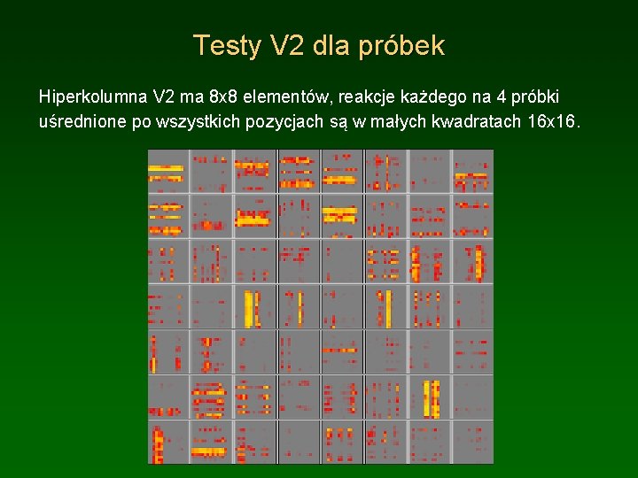 Testy V 2 dla próbek Hiperkolumna V 2 ma 8 x 8 elementów, reakcje