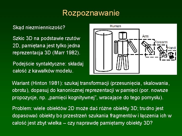 Rozpoznawanie Skąd niezmienniczość? Szkic 3 D na podstawie rzutów 2 D, pamiętana jest tylko