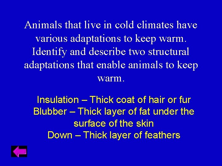 Animals that live in cold climates have various adaptations to keep warm. Identify and