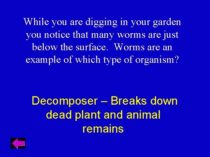 While you are digging in your garden you notice that many worms are just