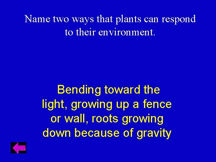 Name two ways that plants can respond to their environment. Bending toward the light,