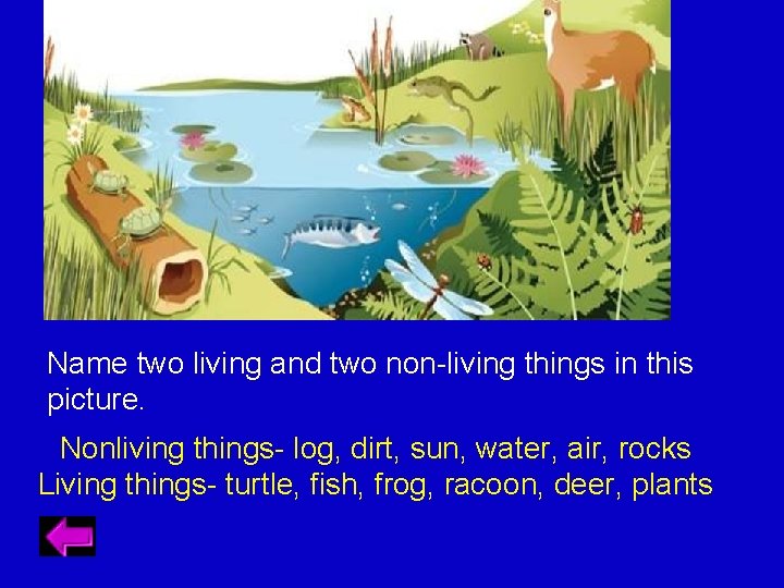 Name two living and two non-living things in this picture. Nonliving things- log, dirt,