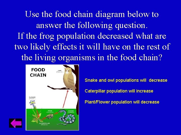 Use the food chain diagram below to answer the following question. If the frog