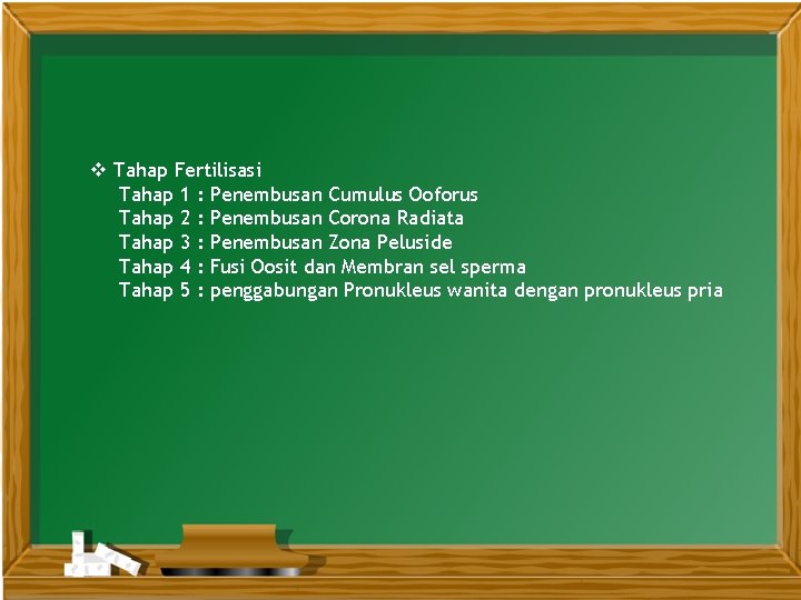 v Tahap Fertilisasi Tahap 1 : Penembusan Cumulus Ooforus Tahap 2 : Penembusan Corona