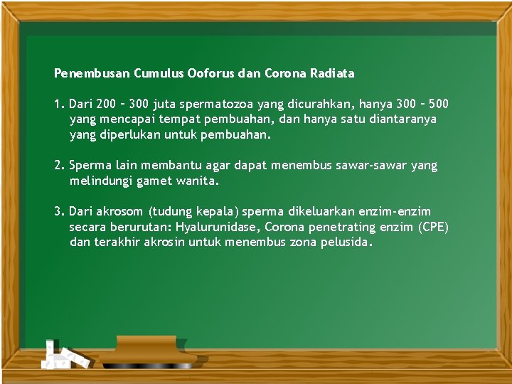 Penembusan Cumulus Ooforus dan Corona Radiata 1. Dari 200 – 300 juta spermatozoa yang