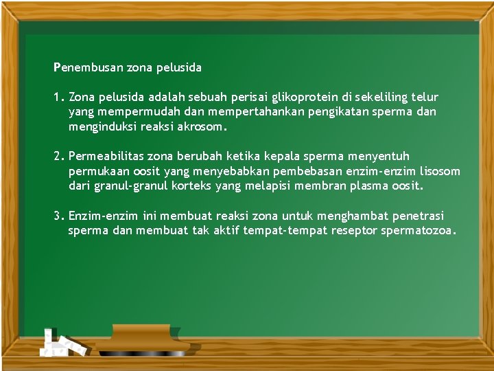 Penembusan zona pelusida 1. Zona pelusida adalah sebuah perisai glikoprotein di sekeliling telur yang