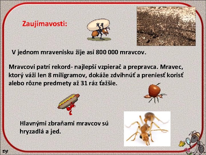 Zaujímavosti: V jednom mravenisku žije asi 800 000 mravcov. Mravcovi patrí rekord- najlepší vzpierač