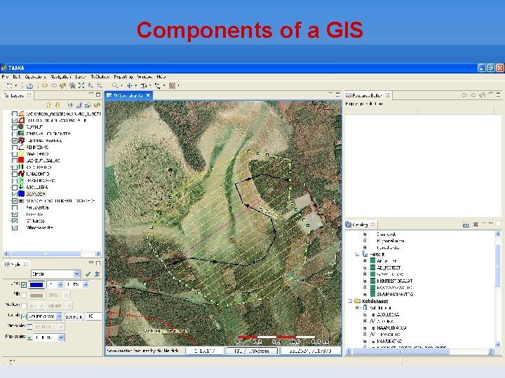 Components of a GIS 