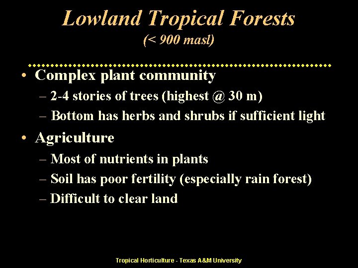 Lowland Tropical Forests (< 900 masl) • Complex plant community – 2 -4 stories