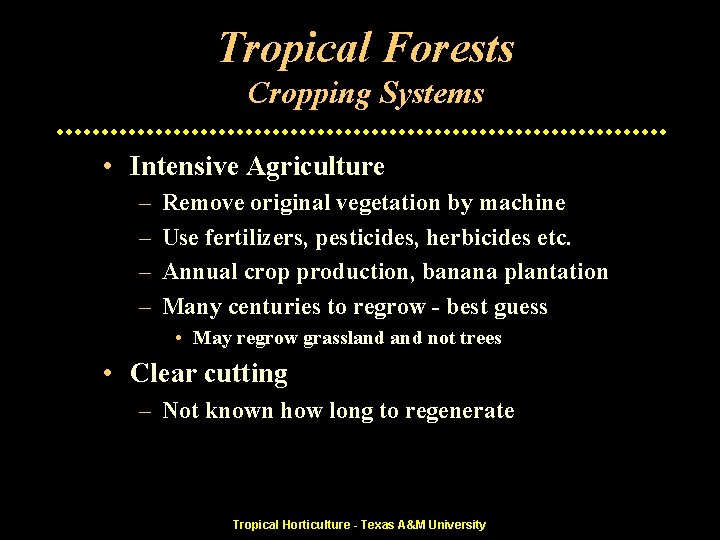 Tropical Forests Cropping Systems • Intensive Agriculture – – Remove original vegetation by machine