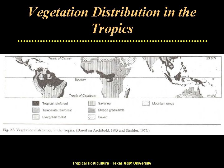Vegetation Distribution in the Tropics Tropical Horticulture - Texas A&M University 