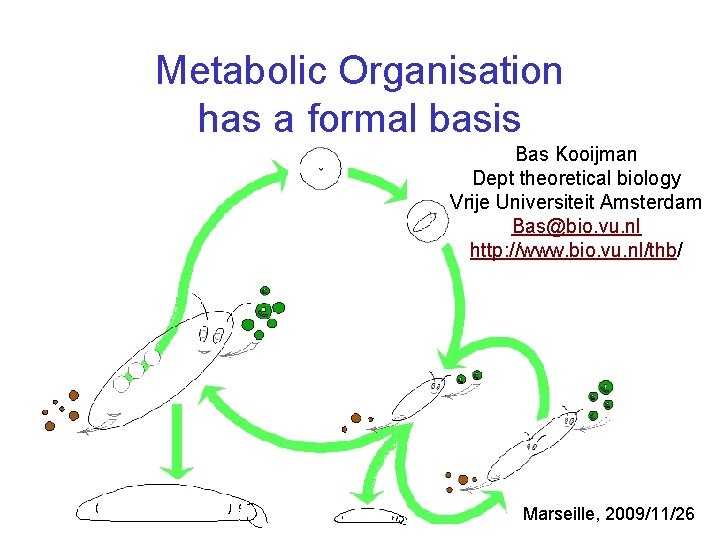 Metabolic Organisation has a formal basis Bas Kooijman Dept theoretical biology Vrije Universiteit Amsterdam