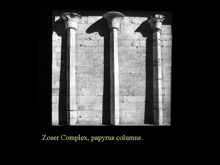 Zoser Complex, papyrus columns. 