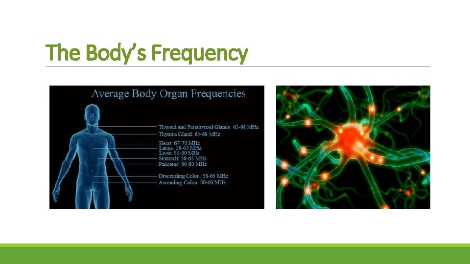 The Body’s Frequency 