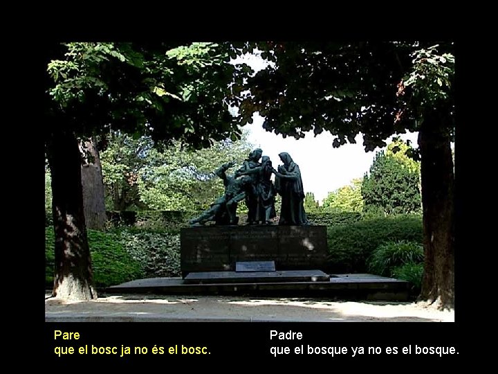 Pare que el bosc ja no és el bosc. Padre que el bosque ya