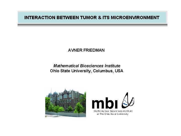 INTERACTION BETWEEN TUMOR & ITS MICROENVIRONMENT AVNER FRIEDMAN Mathematical Biosciences Institute Ohio State University,