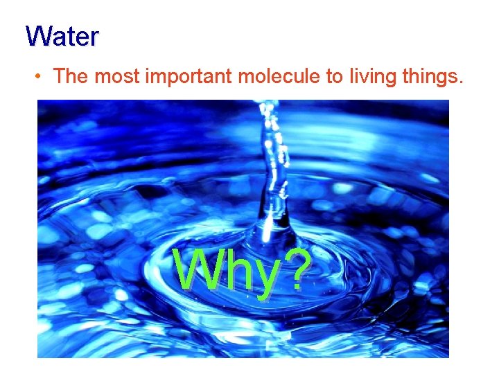 Water • The most important molecule to living things. Why? 