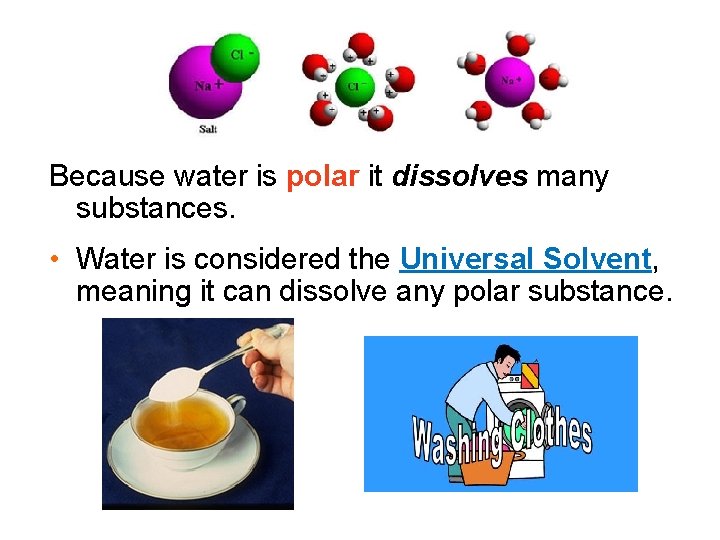 Because water is polar it dissolves many substances. • Water is considered the Universal