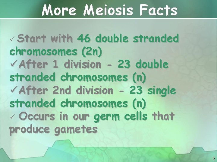 More Meiosis Facts ü Start with 46 double stranded chromosomes (2 n) üAfter 1