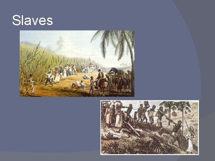 Slaves 