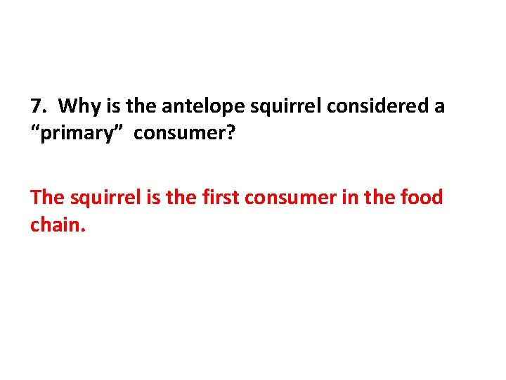 7. Why is the antelope squirrel considered a “primary” consumer? The squirrel is the
