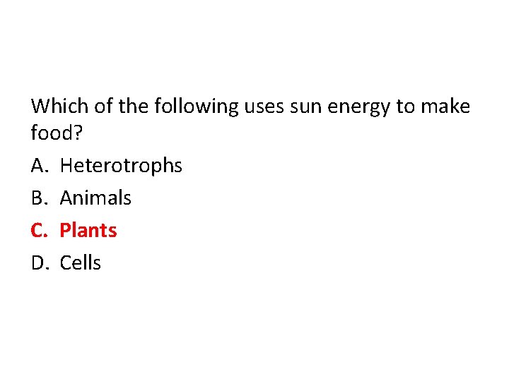 Which of the following uses sun energy to make food? A. Heterotrophs B. Animals
