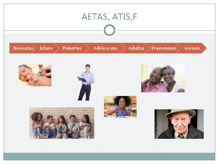 AETAS, ATIS, F Neonatus Infans Pubertas Adolescens Adultus Praesenium Senium 