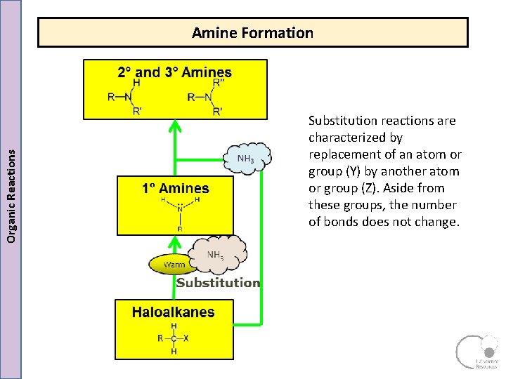 Organic Reactions Amine Formation Substitution reactions are characterized by replacement of an atom or Organic Reactions Amine Formation Substitution reactions are characterized by replacement of an atom or
