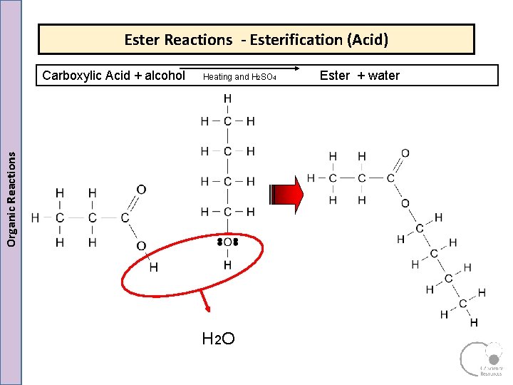 Ester Reactions - Esterification (Acid) Organic Reactions Carboxylic Acid + alcohol Ester + water Ester Reactions - Esterification (Acid) Organic Reactions Carboxylic Acid + alcohol Ester + water