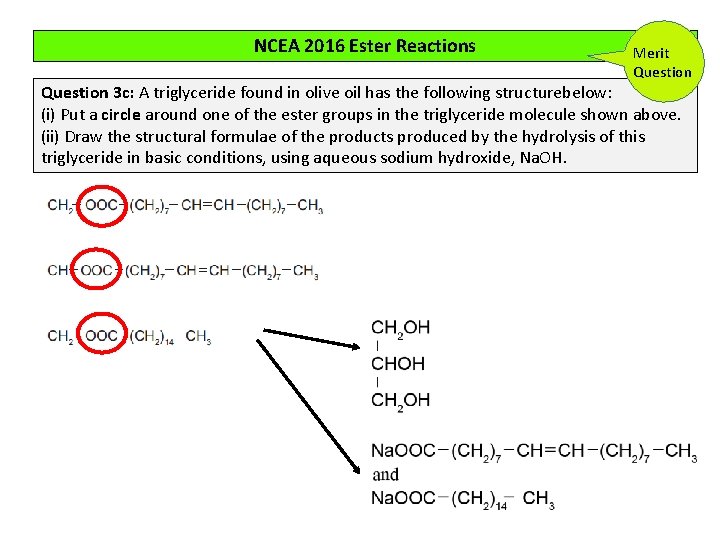NCEA 2016 Ester Reactions Merit Question 3 c: A triglyceride found in olive oil NCEA 2016 Ester Reactions Merit Question 3 c: A triglyceride found in olive oil