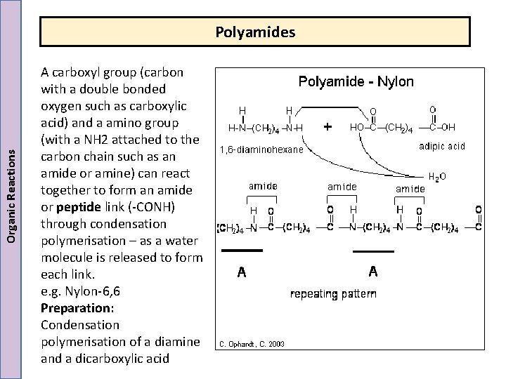Organic Reactions Polyamides A carboxyl group (carbon with a double bonded oxygen such as Organic Reactions Polyamides A carboxyl group (carbon with a double bonded oxygen such as