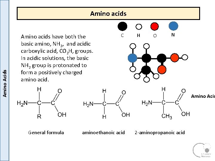 Amino Acids Amino acids have both the basic amino, NH 2, and acidic carboxylic Amino Acids Amino acids have both the basic amino, NH 2, and acidic carboxylic