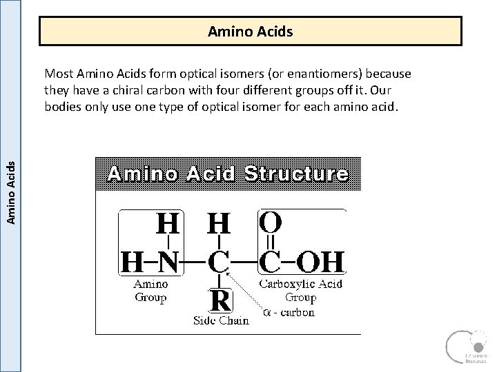Amino Acids Most Amino Acids form optical isomers (or enantiomers) because they have a Amino Acids Most Amino Acids form optical isomers (or enantiomers) because they have a